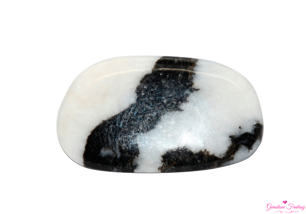 Zebra Jasper